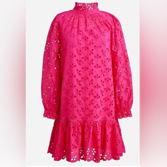 NWT! J. Crew Long Sleeve Ruffle Trim Pink Eyelet Dress Size Small - Picture 2 of 10